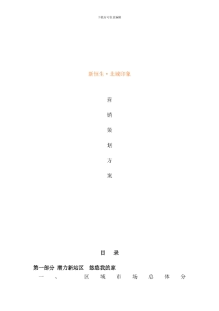 合肥新恒生北城印象营销策划方案