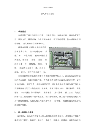 唐人街项目介绍样本
