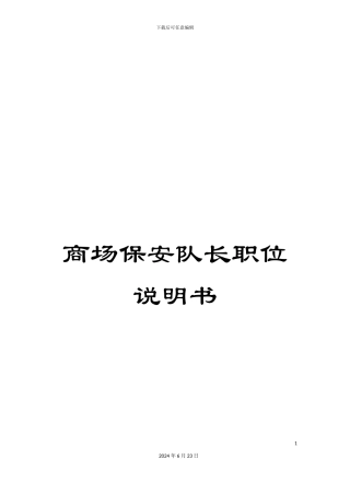 商场保安队长职位说明书