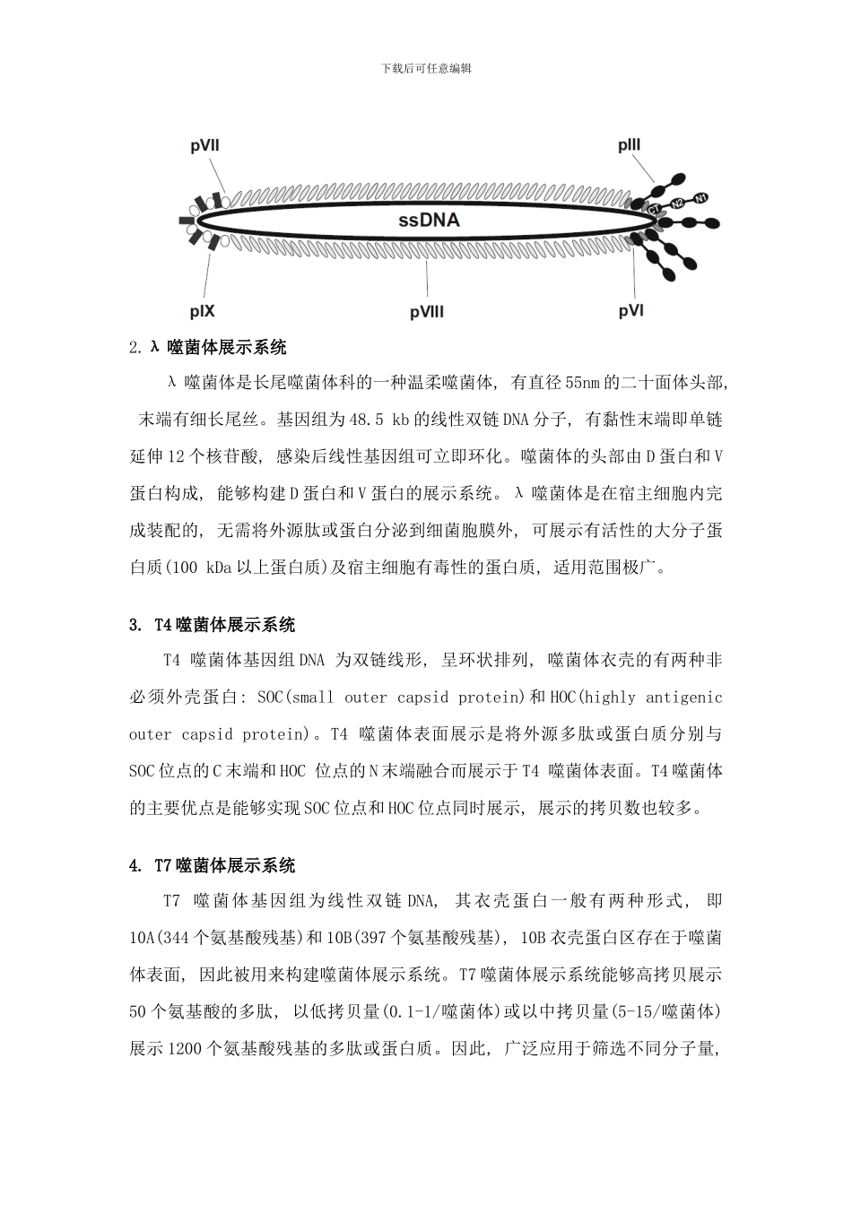 噬菌体展示技术解析样本_第3页