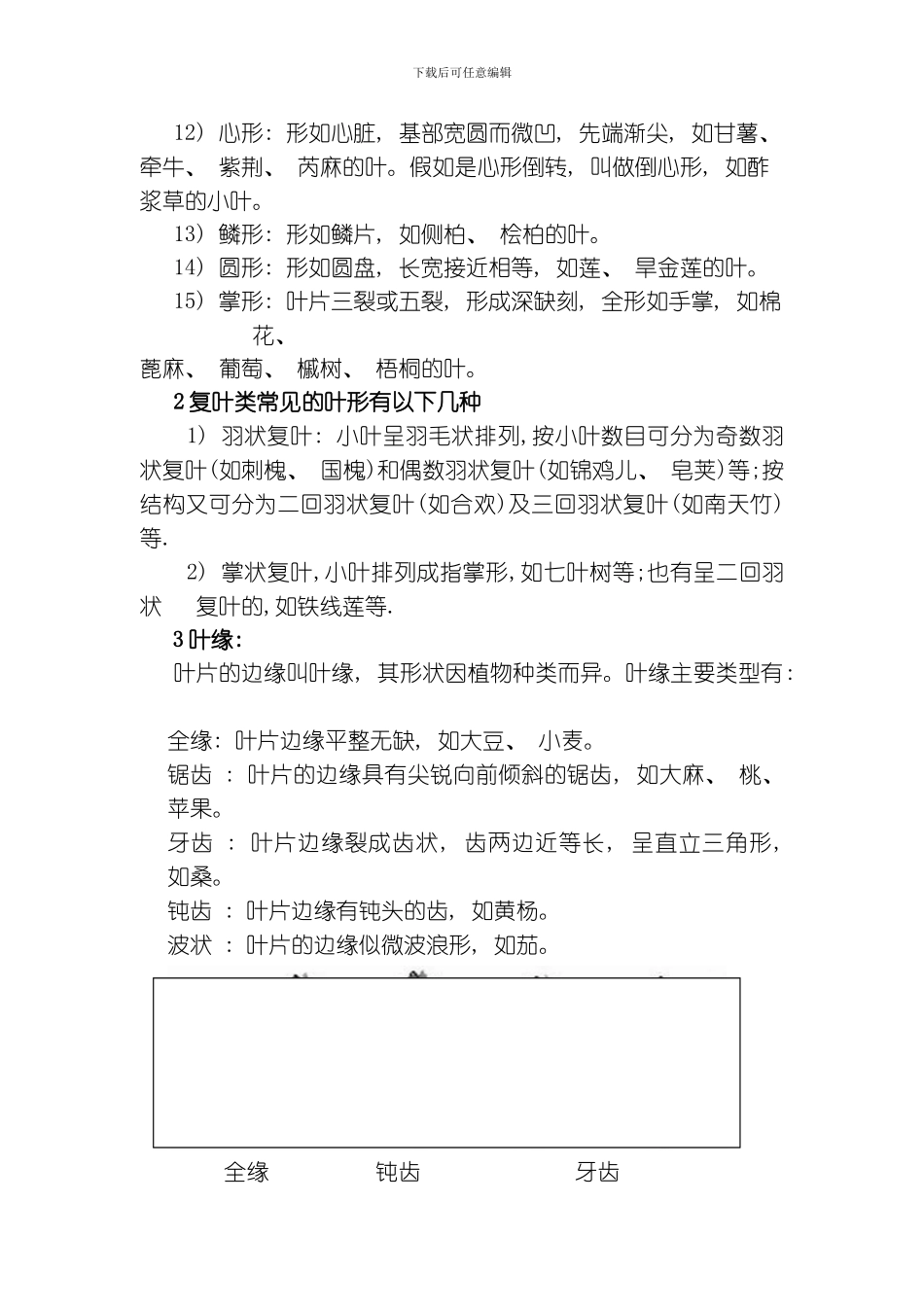 园林施工常用植物模板_第2页