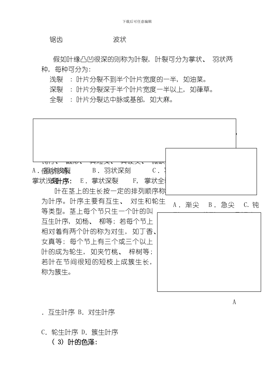 园林施工常用植物模板_第3页
