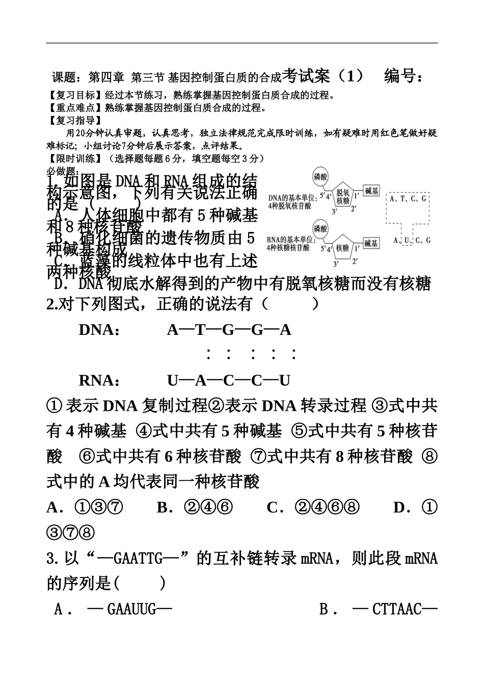 基因控制蛋白质的合成考试案1_第2页
