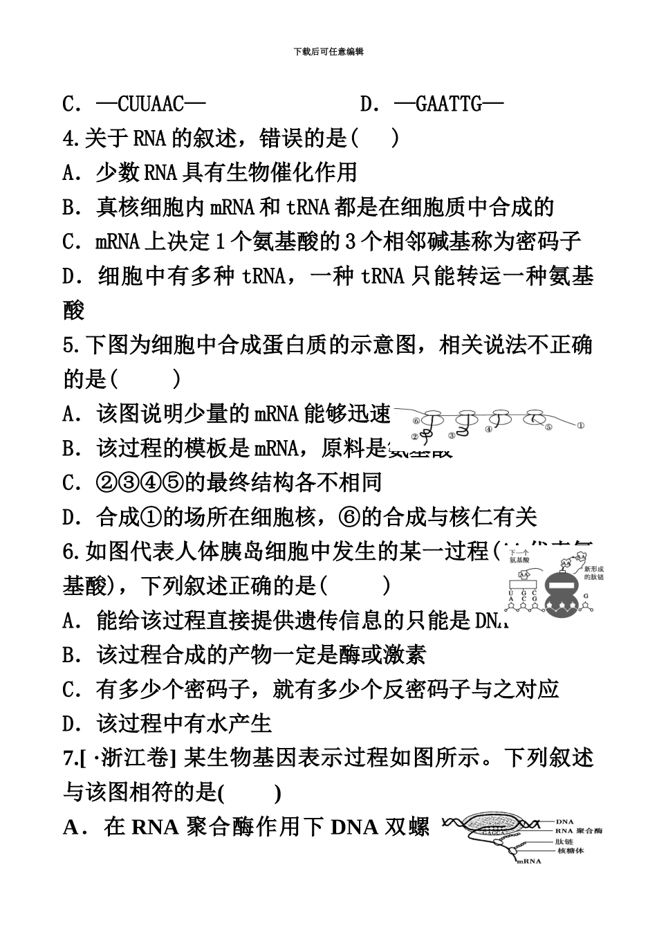 基因控制蛋白质的合成考试案1_第3页