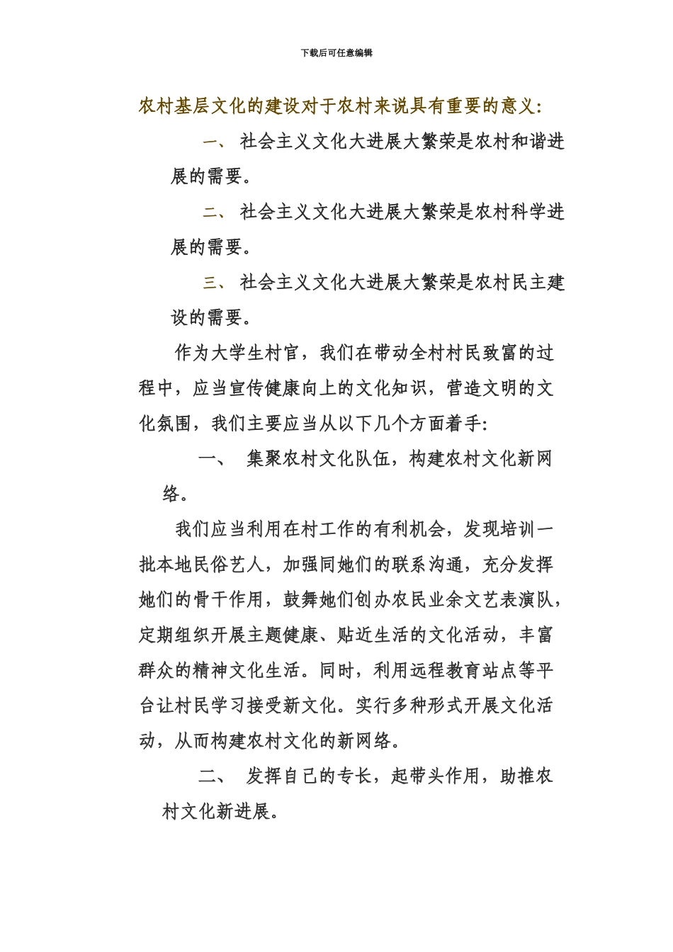 大学生村官如何推动农村基层文化大发展大繁荣_第3页