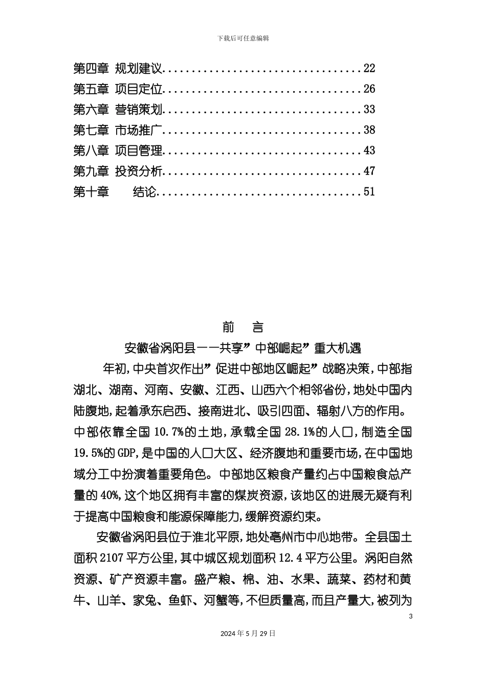 大市场全程营销策划方案_第3页