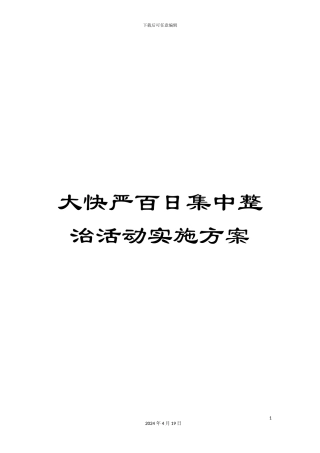 大快严百日集中整治活动实施方案