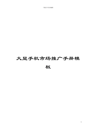 大显手机市场推广手册模板