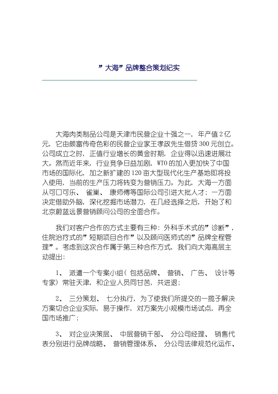 大海品牌整合策划纪实模板_第2页