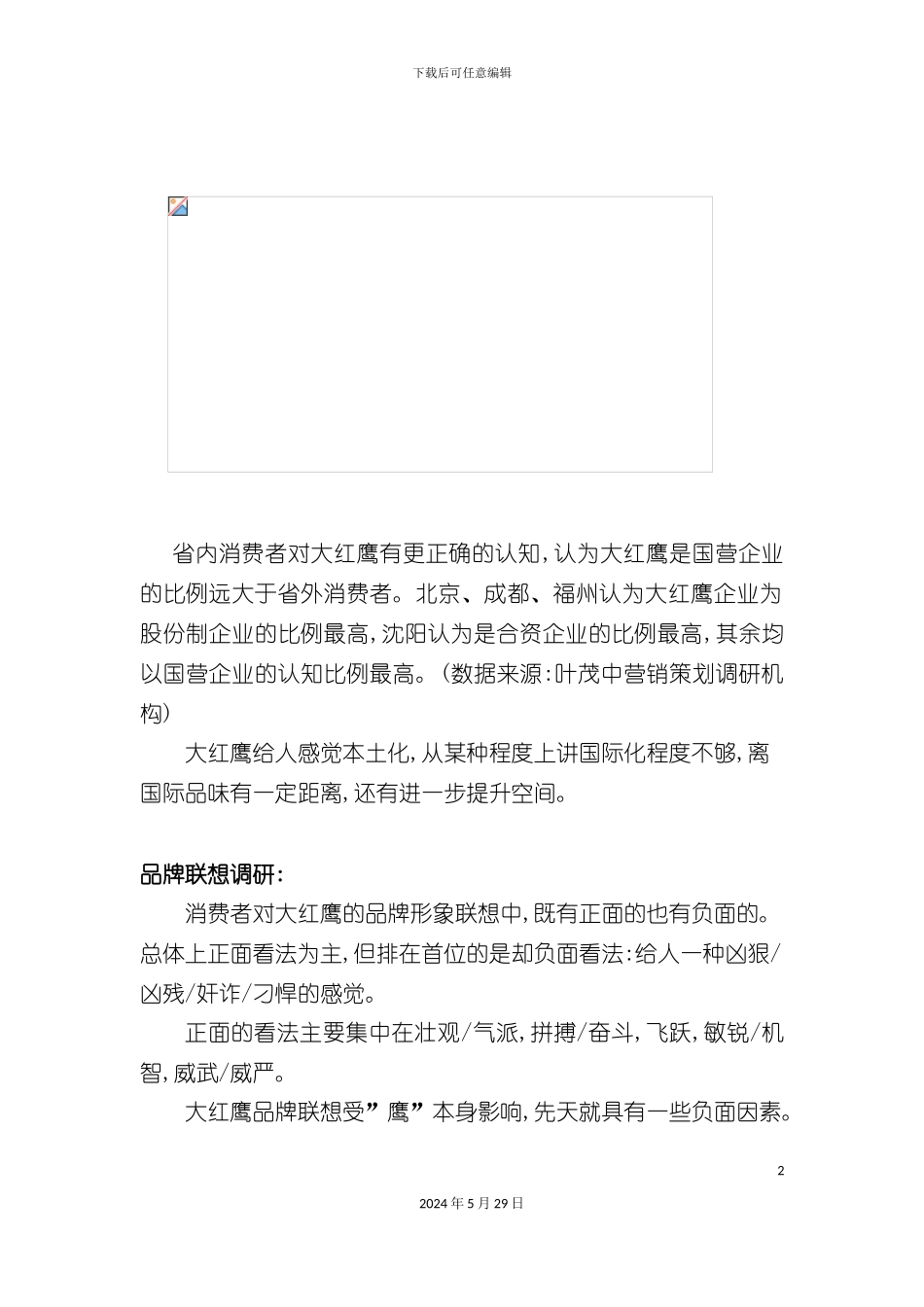 大红鹰品牌营销方案研讨_第2页