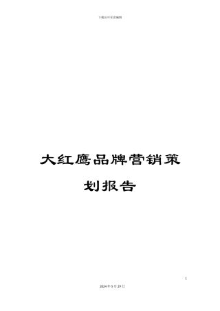 大红鹰品牌营销策划报告
