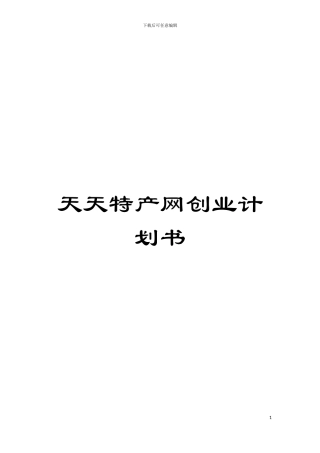 天天特产网创业计划书模板