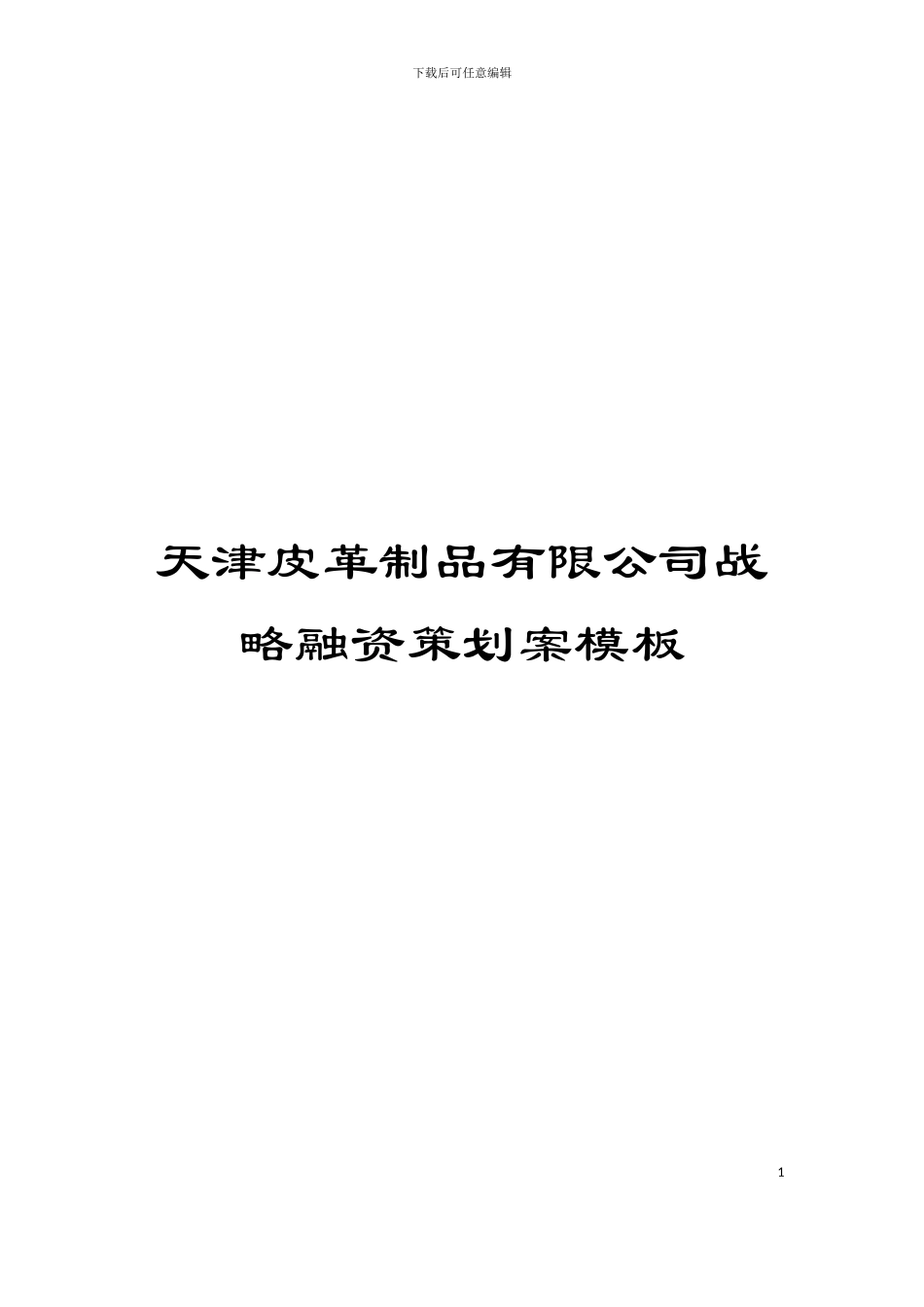 天津皮革制品有限公司战略融资策划案模板_第1页