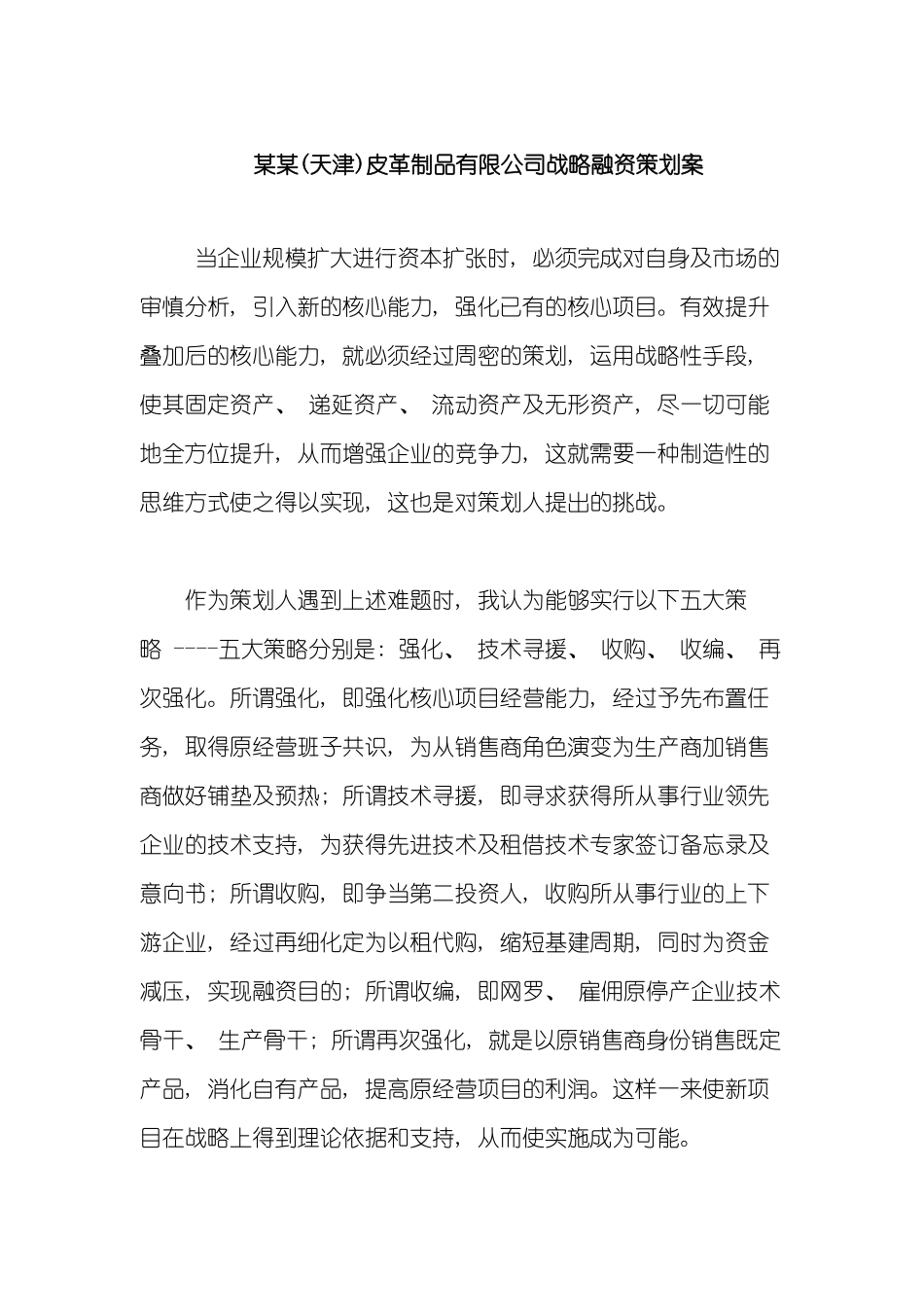 天津皮革制品有限公司战略融资策划案模板_第2页