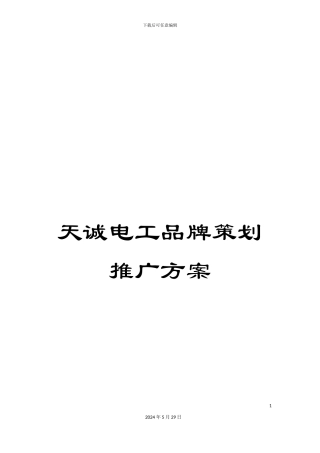 天诚电工品牌策划推广方案