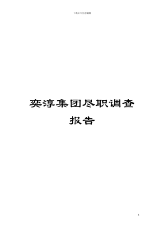 奕淳集团尽职调查报告模板