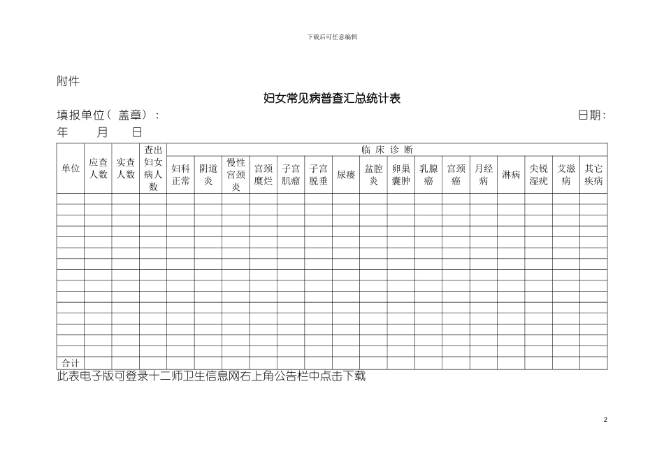 妇女常见病普查汇总统计表模板_第2页