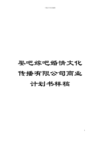 娶吧嫁吧婚情文化传播有限公司商业计划书样稿模板