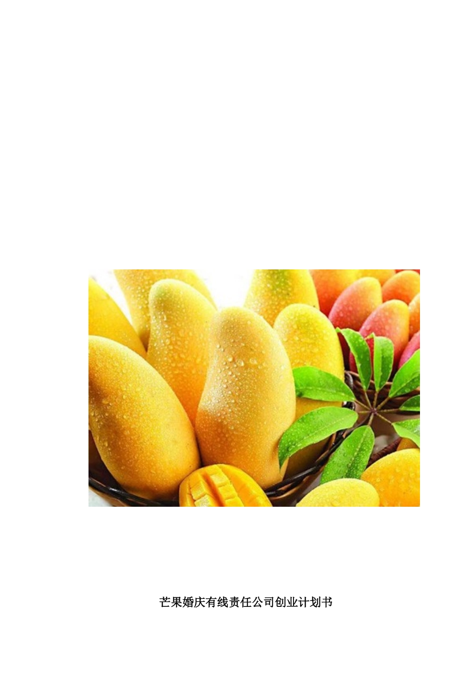 婚庆有线责任公司创业计划书_第2页