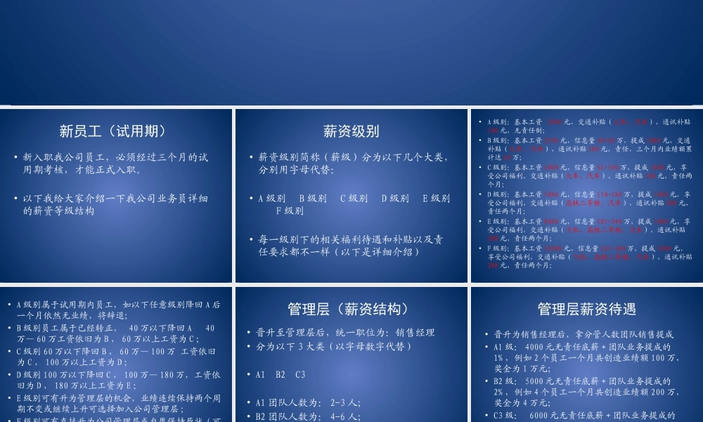 业务员薪资等级结构表