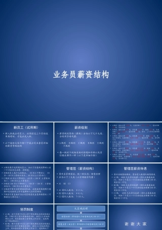 业务员薪资等级结构表