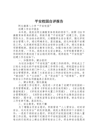 平安校园自评报告