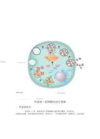 外泌体—药物靶向治疗利器