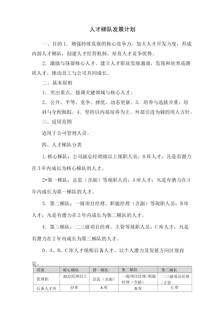 人才梯队发展计划