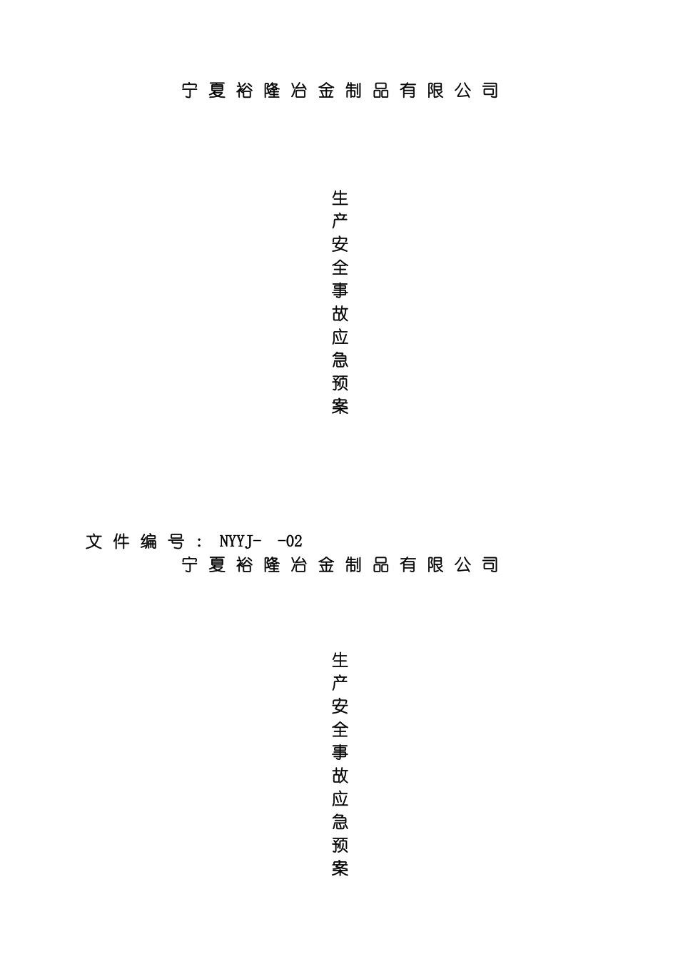 宁夏裕隆冶金制品有限公司安全生产事故应急预案模板_第2页