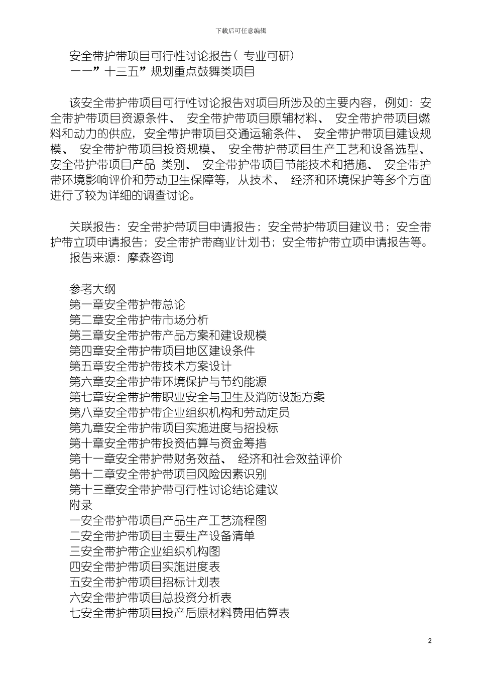 安全带护带项目可行性研究报告专业可研模板_第2页