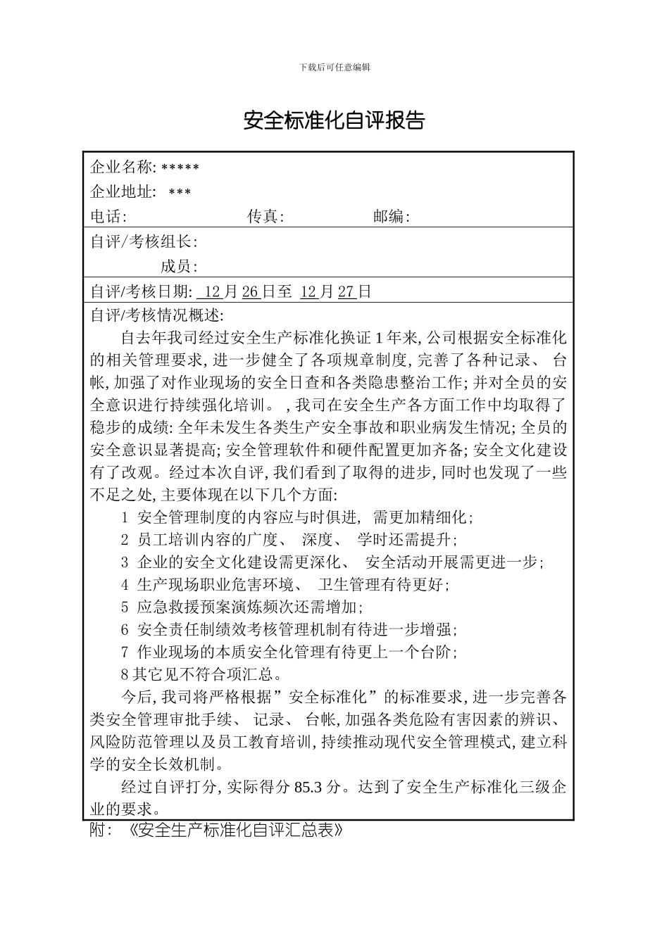 安全标准化自评报告样本_第2页