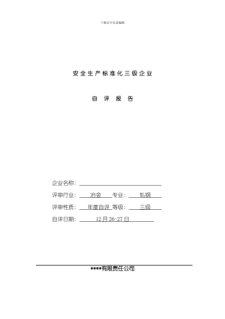 安全标准化自评报告样本