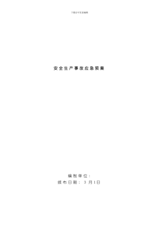 安全生产事故应急预案示范文本样本
