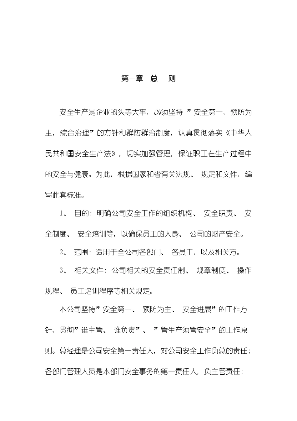 安全生产标准化管理手册全套模板_第2页