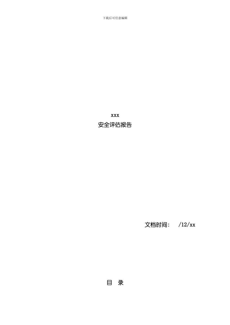安全评估报告模板样本_第1页