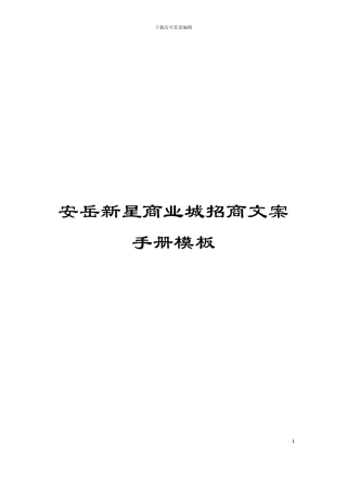 安岳新星商业城招商文案手册模板