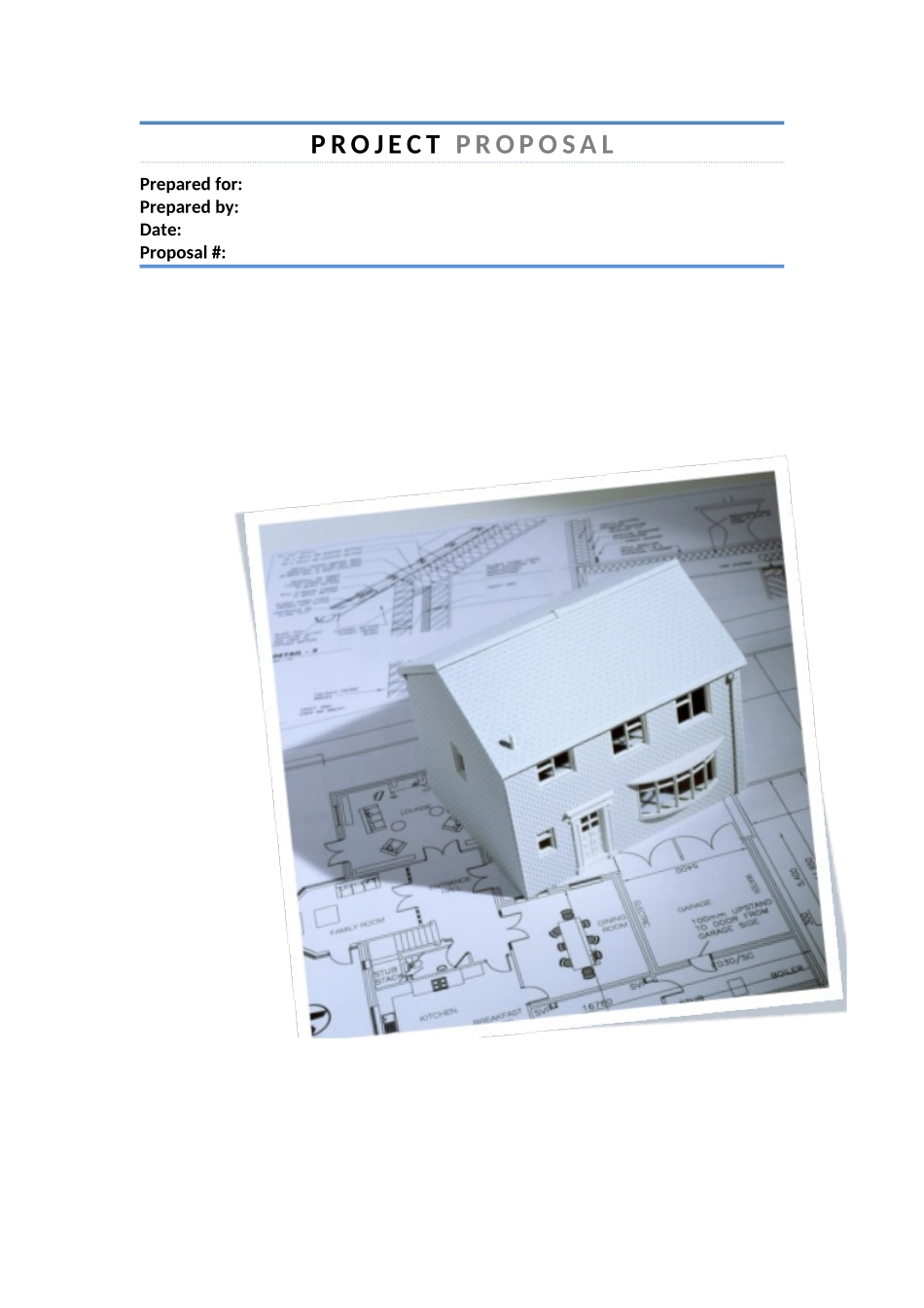 完整VI项目策划书样本_第1页