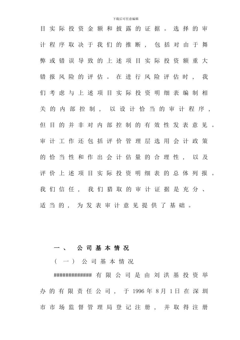 实际投资额审计报告模板样本_第3页