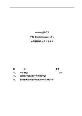 实际投资额审计报告模板样本