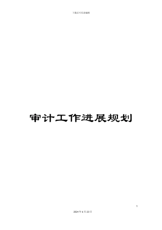 审计工作发展规划