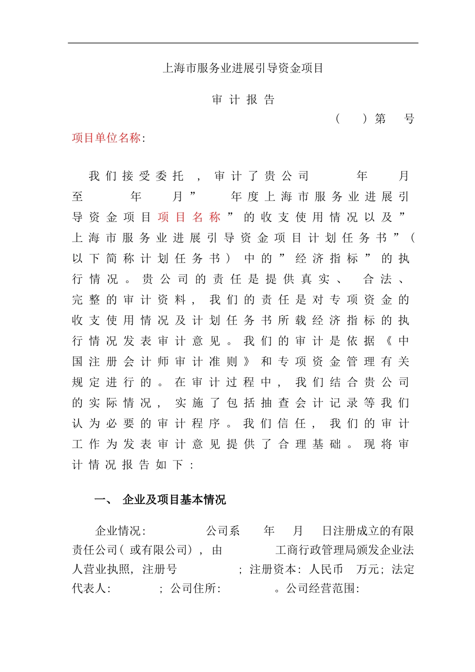 审计报告模板样本_第1页