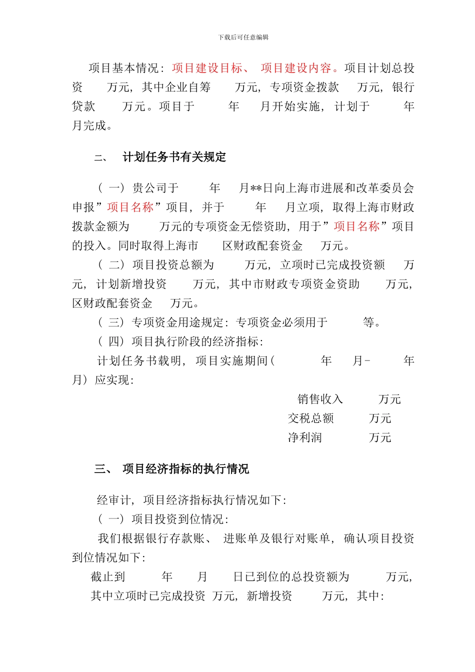 审计报告模板样本_第2页
