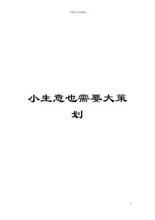 小生意也需要大策划模板