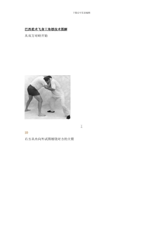 巴西柔术飞身三角锁技术图解样本