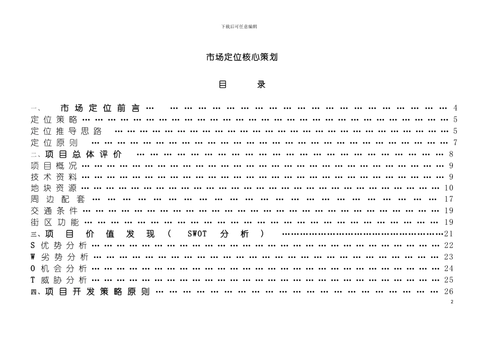 市场定位核心策划模板_第2页