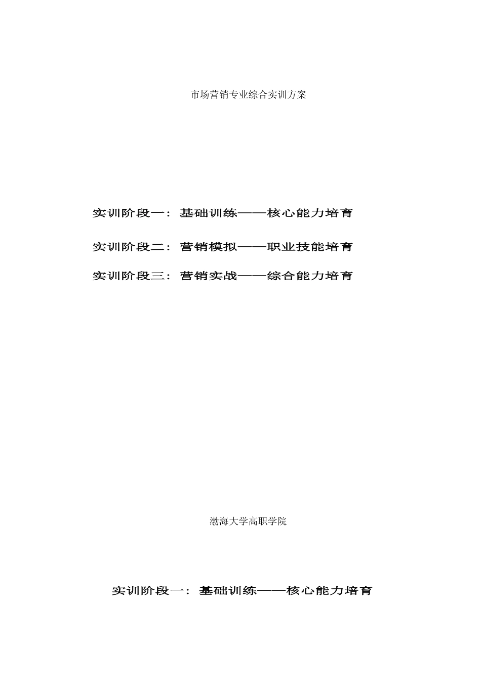 市场营销专业综合实训方案样本_第1页