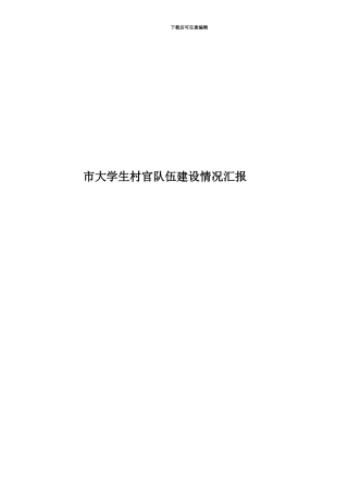 市大学生村官队伍建设情况汇报