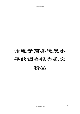 市电子商务发展水平的调查报告范文精品