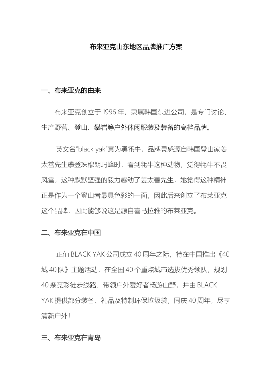 布来亚克山东地区品牌推广方案_第2页