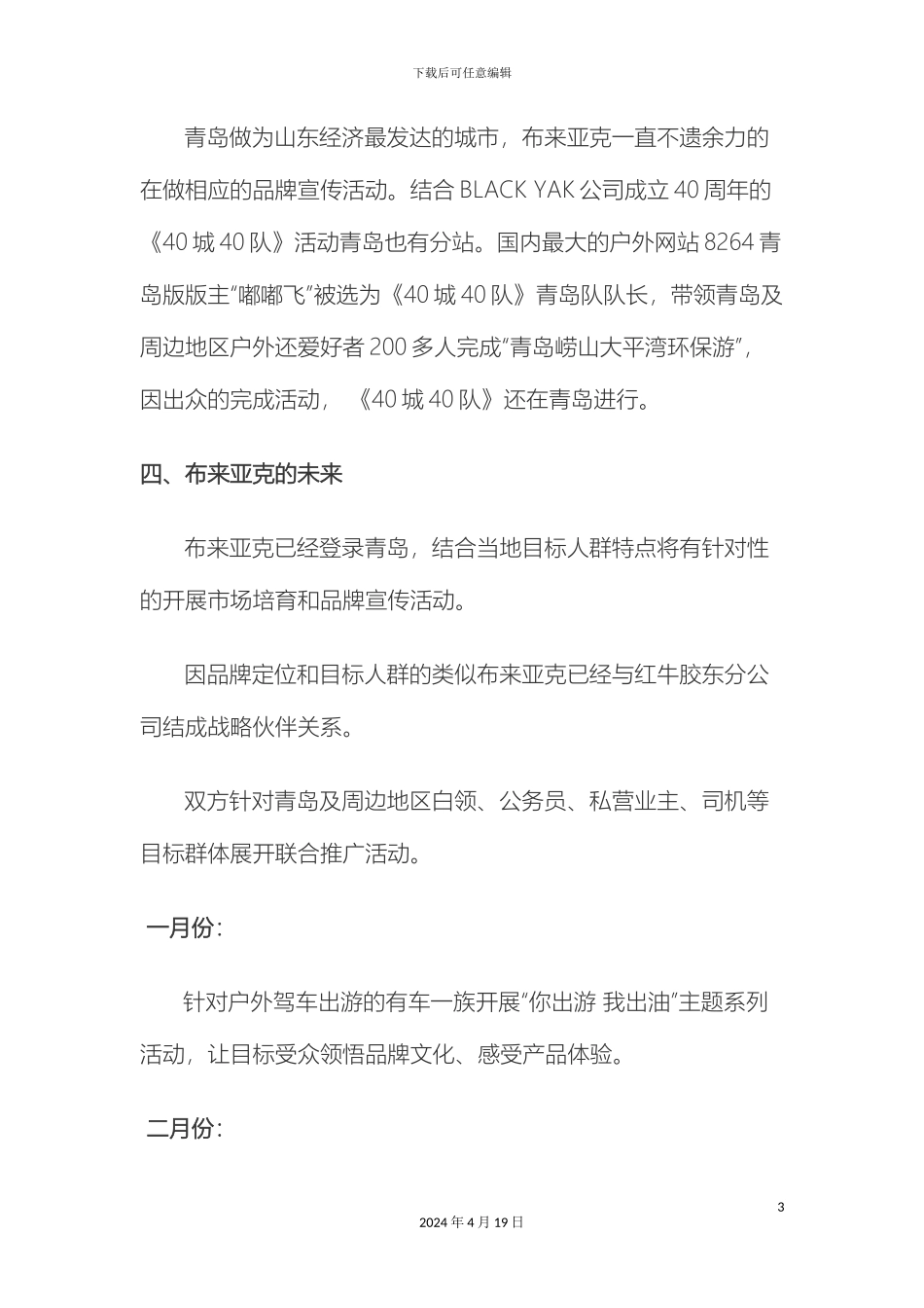 布来亚克山东地区品牌推广方案_第3页